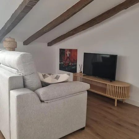 Buhardilla Casco Historico Apartment